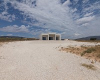 Nueva construcción - Chalet - Pinoso - Campo