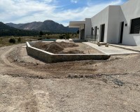 Nueva construcción - Chalet - Pinoso - Casas Pastor
