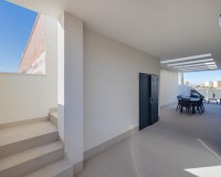 Nueva construcción - Chalet - Torrevieja - Sector 25
