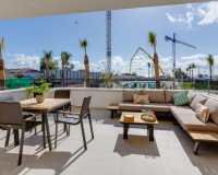 Nueva construcción - Planta baja - Playa Flamenca