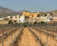 Nueva construcción - Top Floor Bungalow - Hondon de las Nieves - El Salero