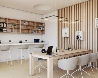 Nybygg - Penthouse - Casares - Camarate