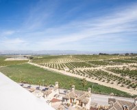 Nybygg - Villa - Algorfa - La finca golf