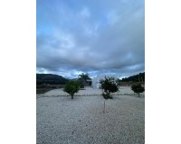 Nybygg - Villa - Pinoso - Casas Pastor