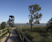 Nybygg - Villa - Torrevieja - Altos del Sol