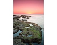 Nybygg - Villa - Torrevieja - Altos del Sol