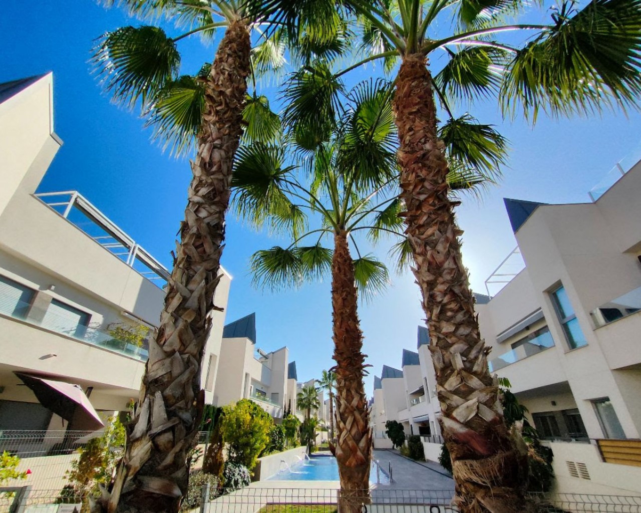 Planta baja - Reventa - Torrevieja - Torrevieja