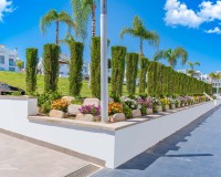 Resale - Penthouse - Punta Prima