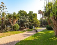Reventa - Apartamento - Torrevieja - Playa de los locos
